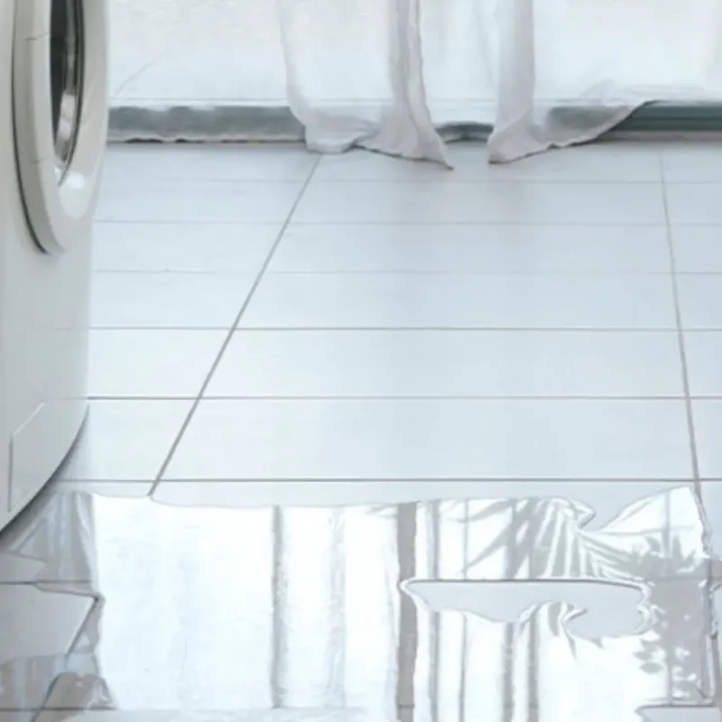 Appliance Leak Cleanup in Hamilton, IL