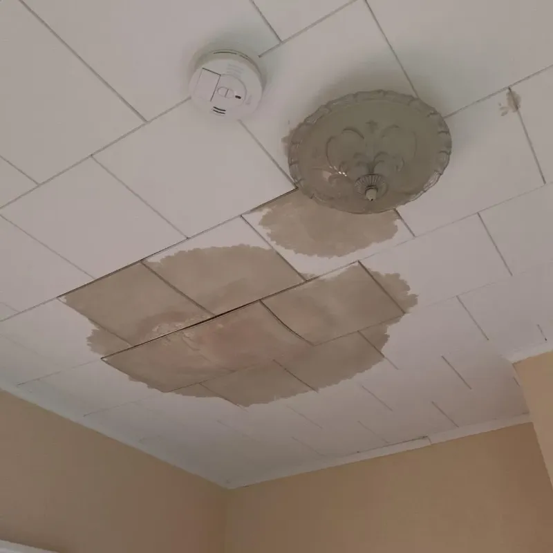Ceiling Water Damage Repair in Hamilton, IL