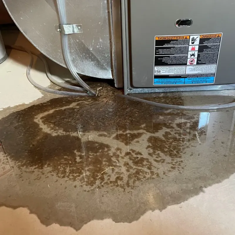 Pipe Burst and Leak Restoration in Hamilton, IL