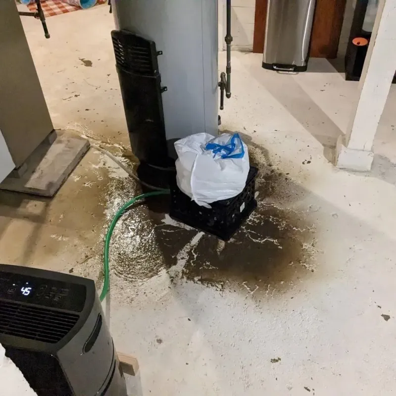 Sewage Backup Cleanup Service in Hamilton, IL